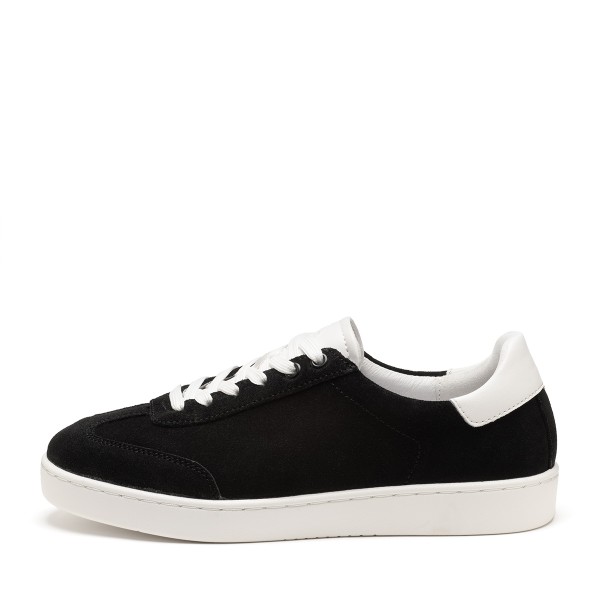 Suny_160_1 Suny_160_1