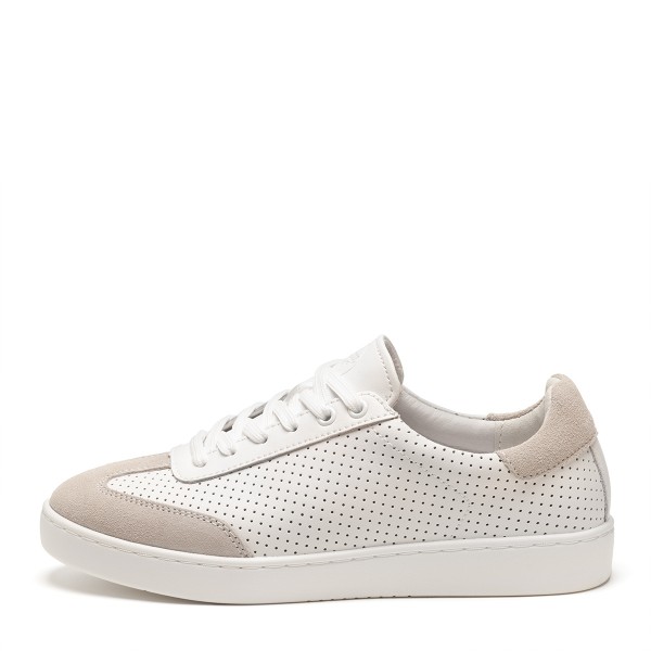 Suny_160_1 Suny_160_1