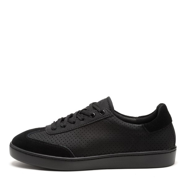 Suny_160_1 Suny_160_1