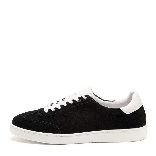 Suny_4055_1 Suny_4055_1